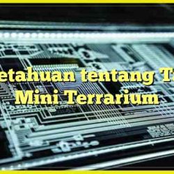 Pengetahuan tentang Taman Mini Terrarium