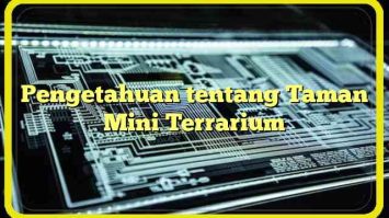 Pengetahuan tentang Taman Mini Terrarium